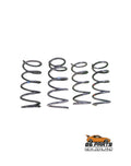Stock Suspension Springs For 86 / BRZ (12-21) (Used)